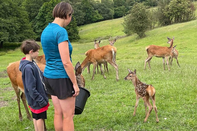 Private Deer Park Tour and Day Out in Leek - Cancellation Policy