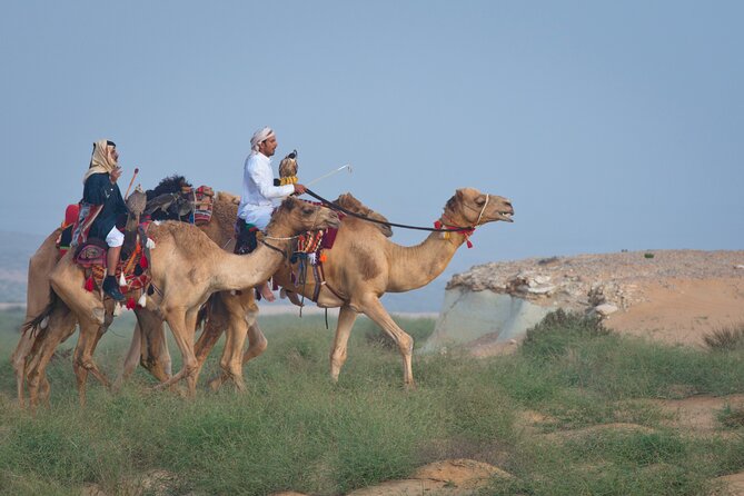 Private Desert Safari With Free Camel Ride & Falcon Photo Snap - Minimum Travelers Requirement