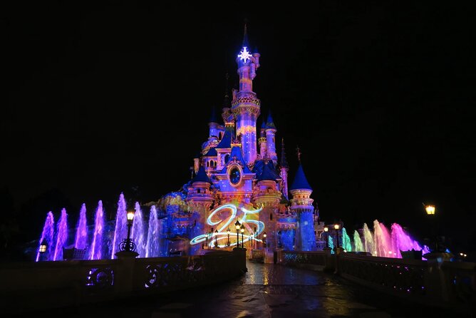 Private Disneyland Trip With Seine Cruise & Eiffel Tower Summit - Additional Information