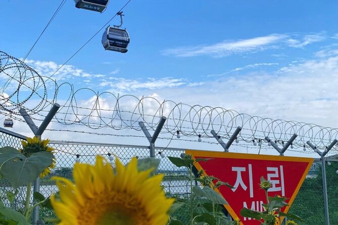 [Private] DMZ & Imjingak Peace Gondola Experience Inter-Korean War - Imjingak Peace Park Visit