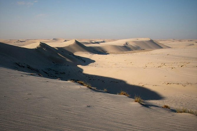 Private Doha Desert With Dune Bash, Camel Ride and Inland Sea - Flexible Cancellation Policy