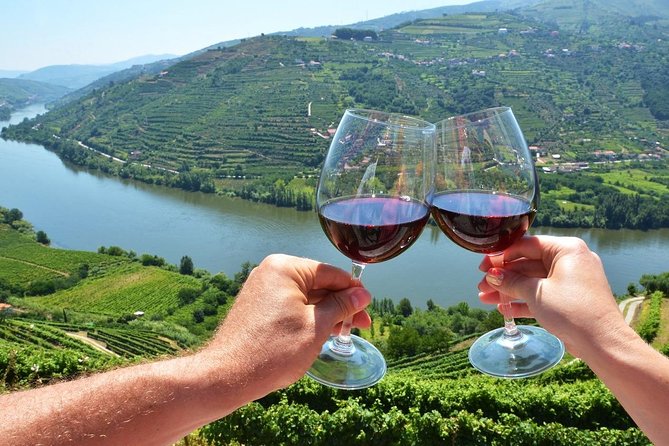 Private Douro Valley Wine Tour: 2 Wine Estates, Lunch and Cruise - Feedback and Responses