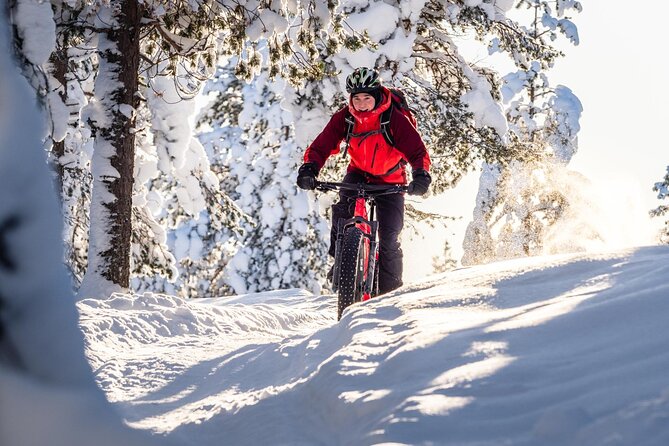 Private Electric Fat Bike Winter Tour in Rovaniemi - Booking Information