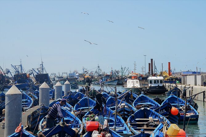 Private : Essaouira Day Trip From Marrakech - Miscellaneous