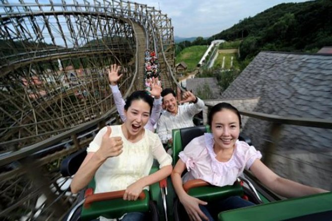 Private Everland Theme Park Tour - Excitement and Activities at Everland
