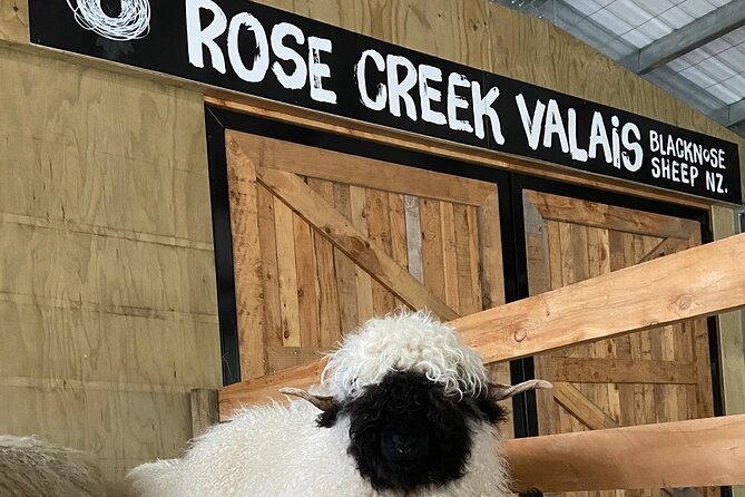 Private Farm Tour With Rose Creek Valais Blacknose Sheep - Additional Information and Reviews