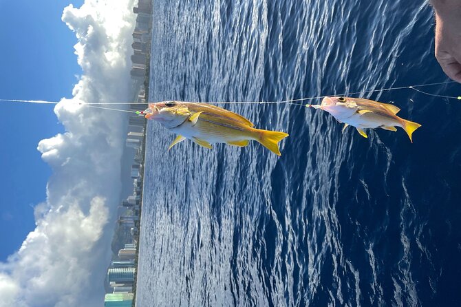 Private Fishing Charter for Family and Friends in Honolulu - Additional Information