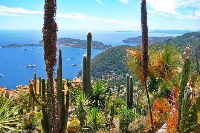 Private French Riviera Day Trip From Nice - Traveler Reviews