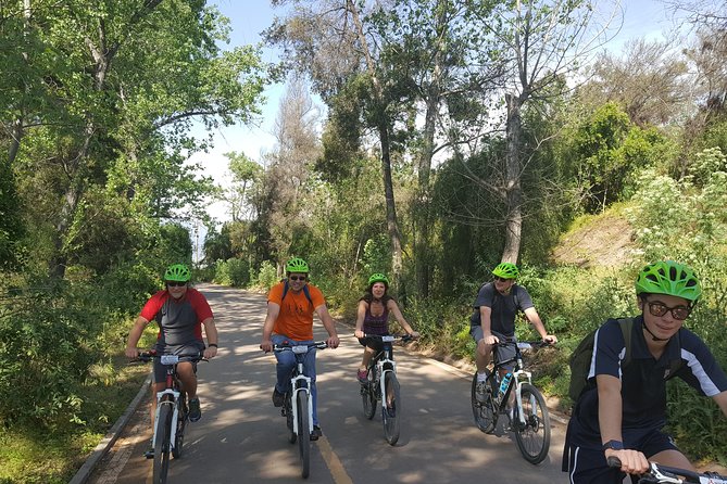 Private Full-Day Bike Tour of Santiago Cultural 5-6 Hrs - Traveler Reviews and Ratings