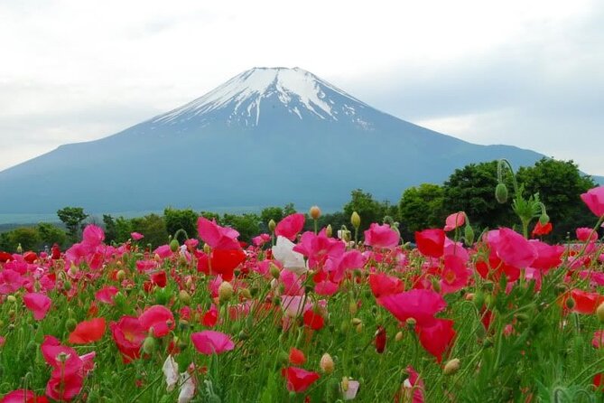Private Full-Day Guided Tour in Mount Fuji Lakes - Additional Details