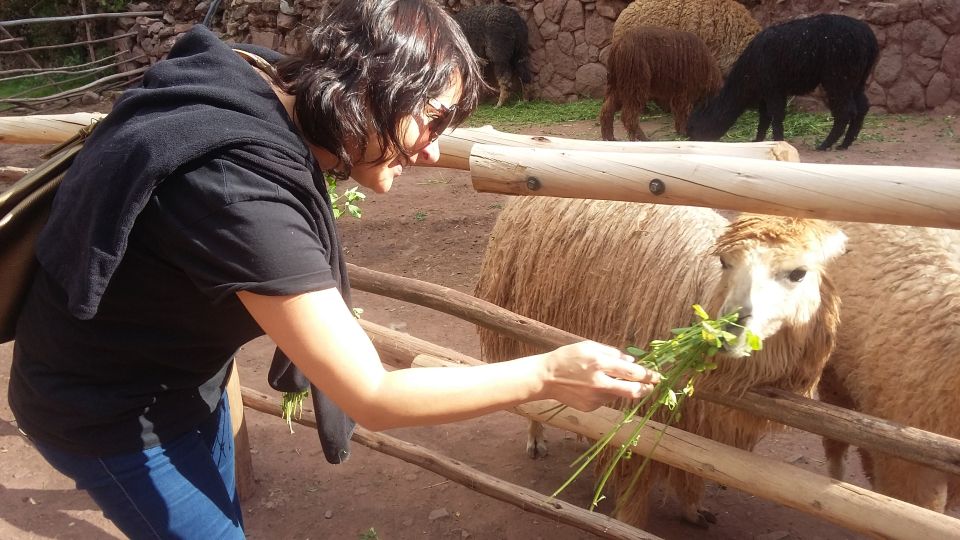 Private Full-Day Sacred Valley & Alpaca Farm Tour - Key Inclusions