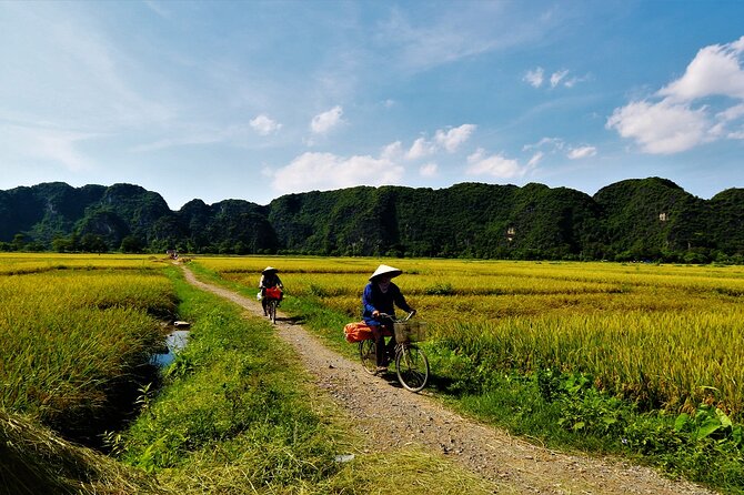 Private Full-day Tour in Quintessence of Ninh Binh - Tour Inclusions