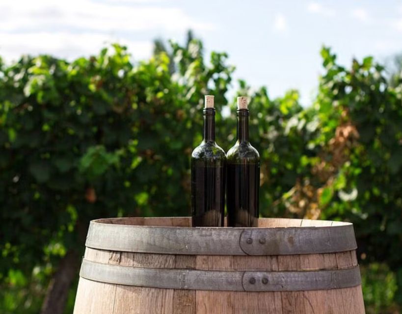 Private Full - Day Tour: Wine Tasting Tour to Peljesac - Additional Information