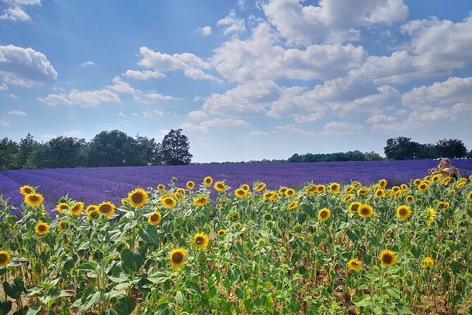 Private Fullday Provence Lavender Fields - Customer Testimonials and Reviews