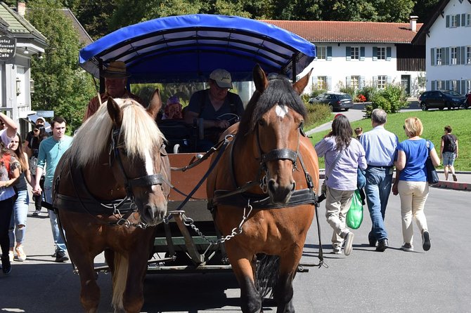 Private Guided Day Trip to Castle Neuschwanstein Incl. Carriage Horse Ride - Skip-the-Line Access