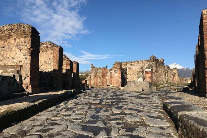 Private Guided Tour. Experience the Everyday Life of the Eternal Town of Pompeii - Additional Offerings