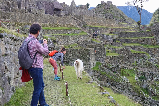 Private Guided Tour to Machu Picchu From Aguas Calientes - Customer Reviews