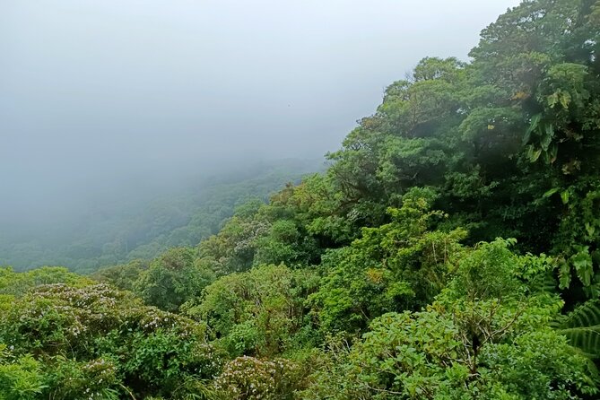 Private Guided Walk to the Santa Elena Cloud Forest Reserve - Directions