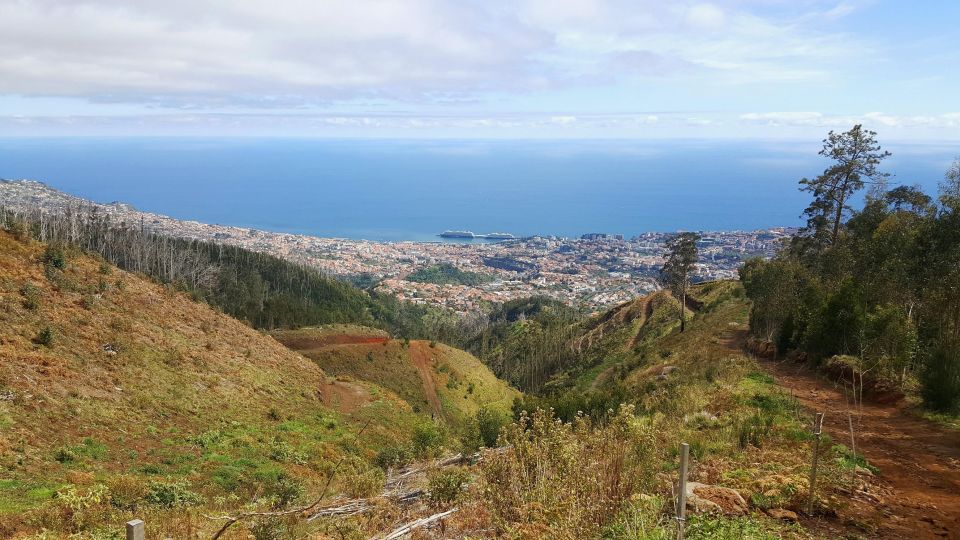 Private Half-Day Tour of Funchal Sky to Sea - Tour Highlights