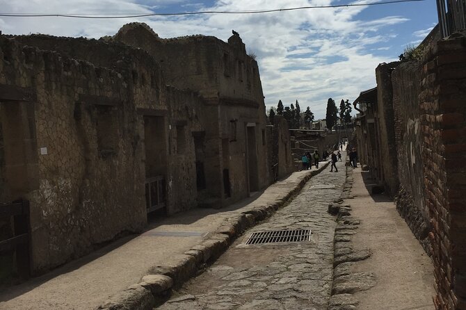 Private Herculaneum Tour for Kids and Families - Interactive Learning Experiences