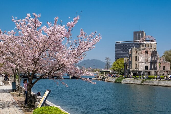 Private Hiroshima Cherry Blossom and Sakura Experience - Transportation and Logistics