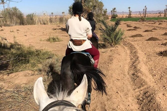 Private Horseback Ride in the Palmeraie of Marrakech - Customer Support and Assistance