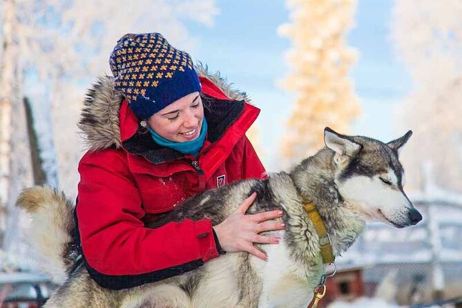 Private Husky Tour With Guide by VIP Car - Last Words