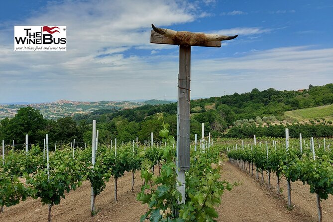 Private Irpinia Wine Tour From NAPLES With Sommelier - Pricing and Booking Information