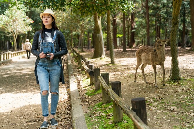 Private Journey in Nara's Historical Wonder - Enhance Your Nara Adventure