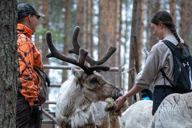 Private Local Lifestyle With Reindeer and Wilderness Sauna - Common questions