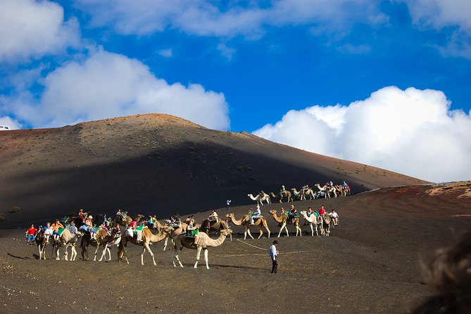 Private Luxury Tour to the National Park of Timanfaya With Camel Ride - Infant Seats and Exclusivity