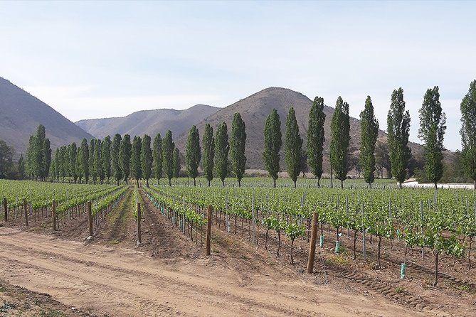 Private Maipo Valley Historic Wine Tour: Santa Rita and Concha Y Toro Vineyards - Common questions