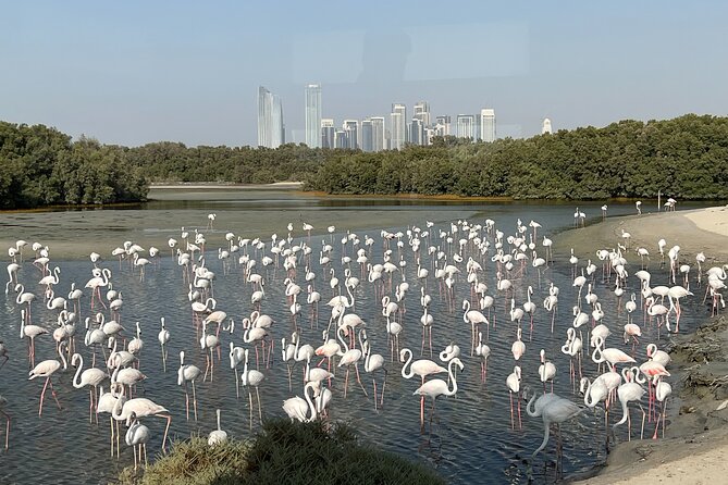 Private Morning Desert Safari With Flamingos Bird Watching - Common questions