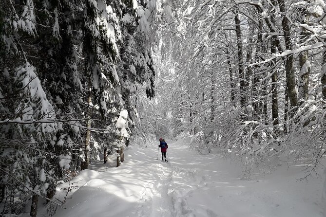 Private Mountain Snowshoe Hike From Chamonix - Additional Resources
