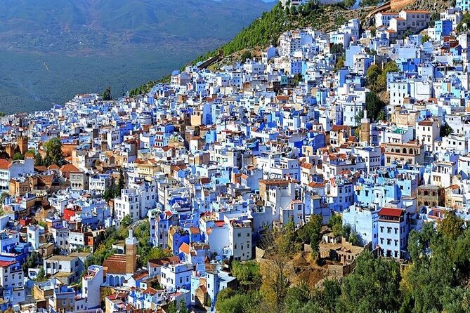 Private Multi-Day Desert Tour From Marrakech to Chefchaouen - Traveler Assistance