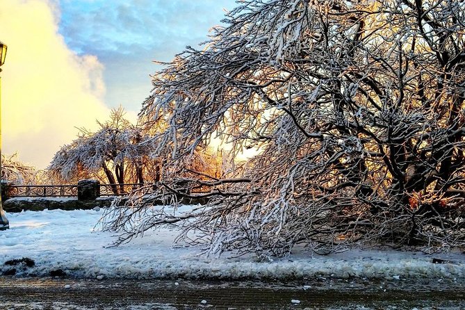 Private Niagara Ice Wine Tour - Tour Highlights