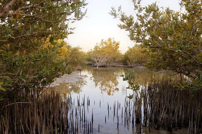Private North of Qatar: Zubara Fort Jumail Village Al-Thakhira Mangroves - Traveler Feedback and Reviews