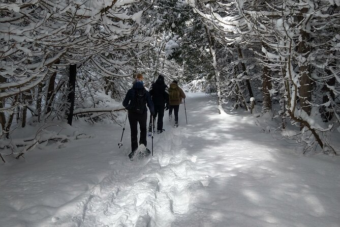 Private Nottawasaga Bluffs Caves Snowshoe/Crampons, Creemore Area - Additional Information