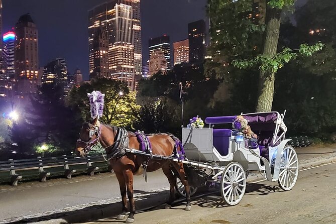 Private NYC Central Park Horse Carriage Ride (Guided) Since 1965 - Additional Information