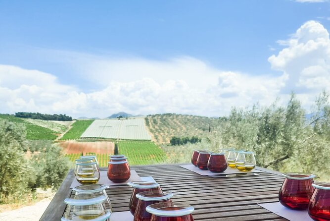 Private Olive Tasting Tour of Peloponnese With a Pickup - Additional Resources