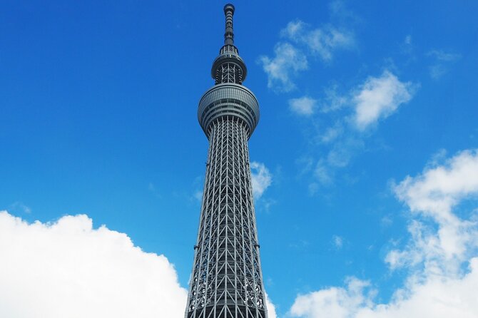 Private One Day Tour in Tokyo With Limousine and Driver - Tour Exclusions
