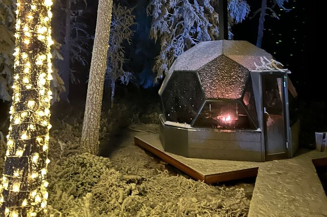 PRIVATE Party Dinner in a Glass Igloo Under Northern Lights - Igloo Stay Highlights