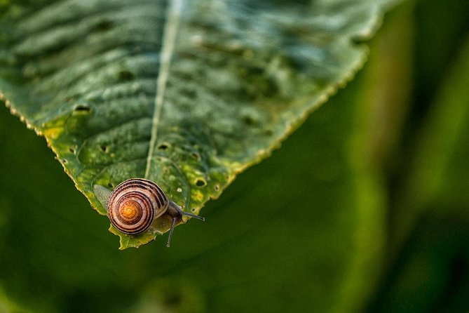 Private Photography Workshop in Stockholm - Inclusions Provided