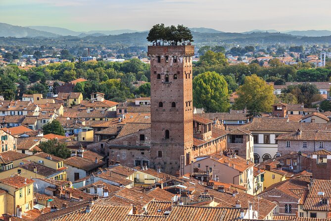 Private Pisa and Lucca Tour With Skip-The-Line for Leaning Tower - Traveler Reviews