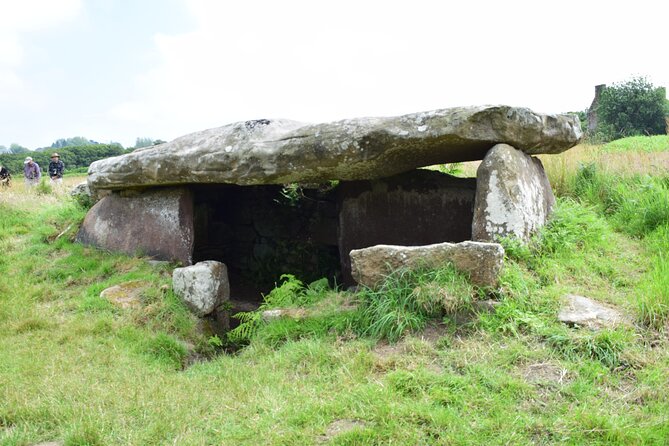 Private Prehistory Tour of the Pink Granite Coast - Customer Support