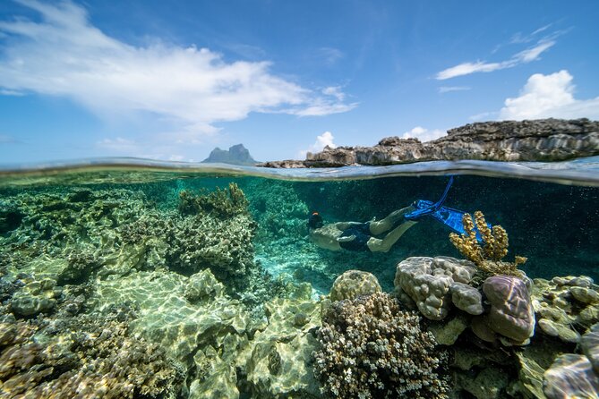 Private Reef Discovery Luxury Dream Day Tour in Bora Bora - Common questions