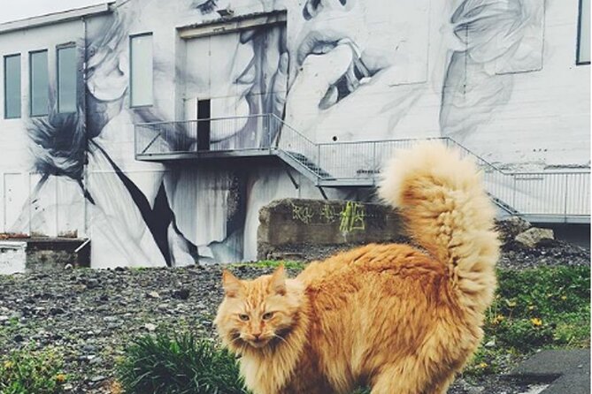 Private Reykjavik Cat Walking Tour - Pricing and Booking Terms