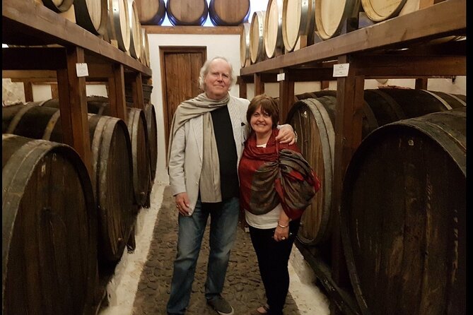 Private Santorini Full Day Wine Tour - Scenic Vineyard Visits