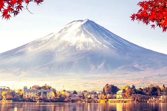 Private Sedan One-Day Mount Fuji Tour - Contact and Additional Details