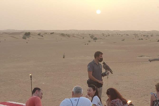 Private Setup, Falcon Photo , Dinner, Sunset in Middle of Desert - Capturing the Desert Beauty